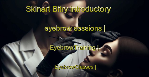 Skinart Bitry introductory eyebrow sessions | EyebrowTraining | EyebrowClasses | SkinartTraining-France